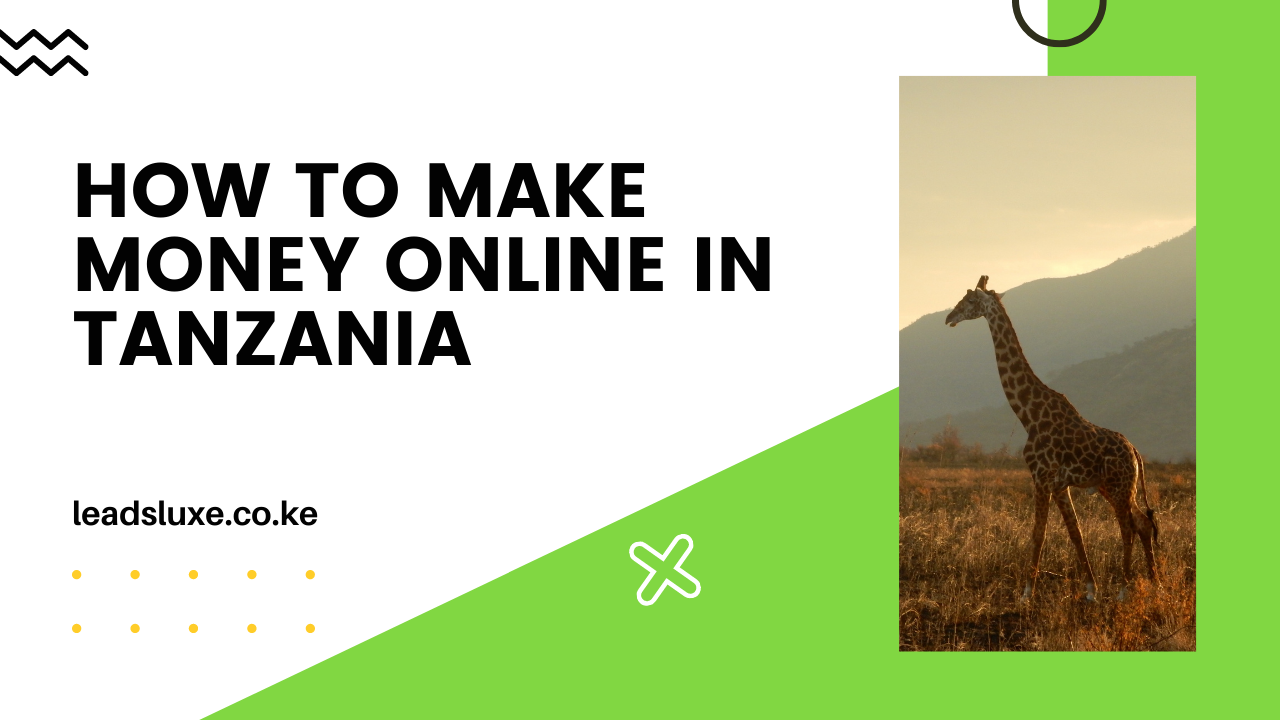 How To Make Money Online In Tanzania [Works in 2023]