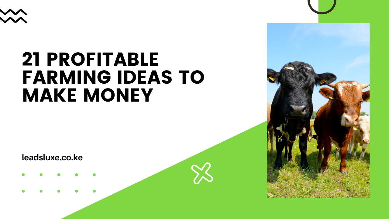 21 Profitable Farming Ideas To Make Money in Kenya