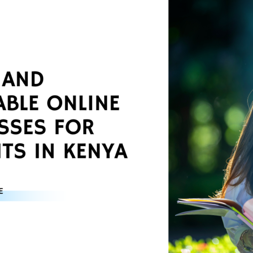 11 Profitable Online Businesses For Students In Kenya