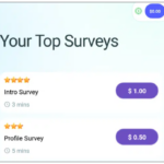 SurveyMagic App